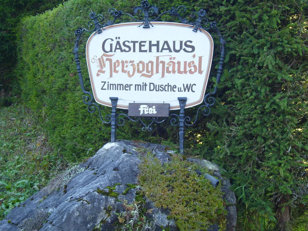 Pension Herzoghaeusel Bischofswiesen Esterno foto